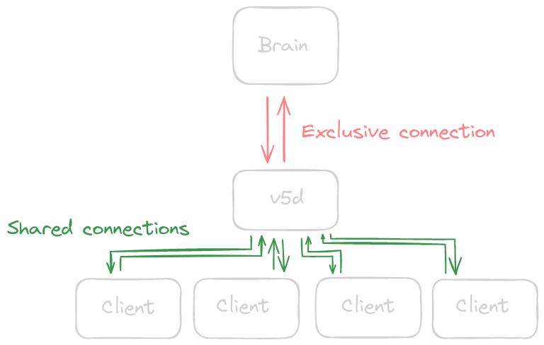 v5d Diagram